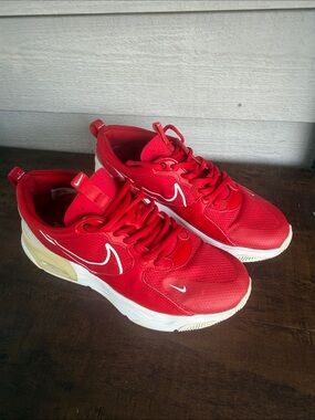 Nike Skyve Max Spiral Sage Sneakers